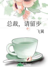 总裁，请留步