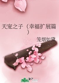 天宠之子(幸福扩展篇)