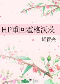 HP重回霍格沃茨