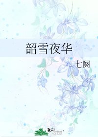 韶雪夜华