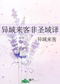 异域来客非圣域译