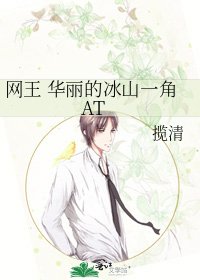 网王 华丽的冰山一角AT