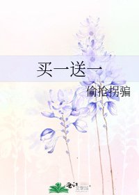 买一送一