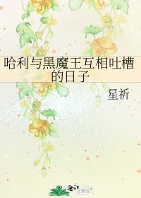哈利与黑魔王互相凸槽的留子