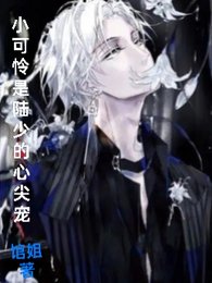 小可怜是陆少的心尖宠