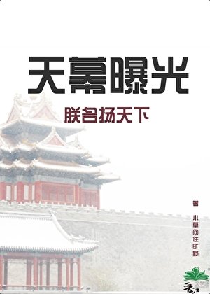 天幕曝光朕名扬天下